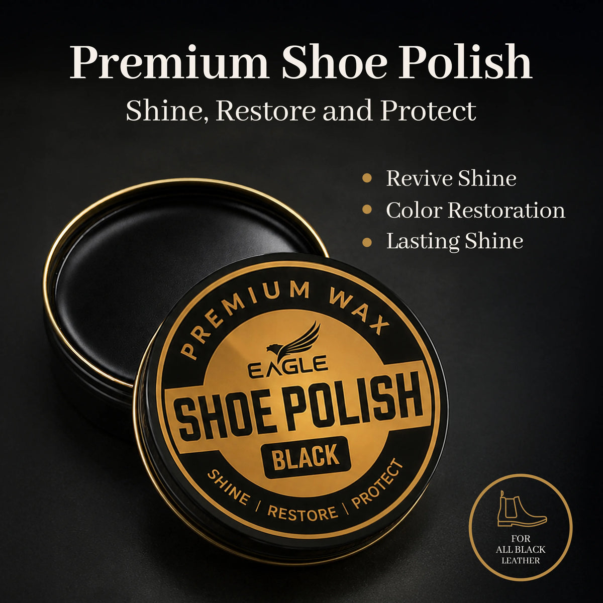 Eagle 5-Piece Shoe Shine Kit - Black
